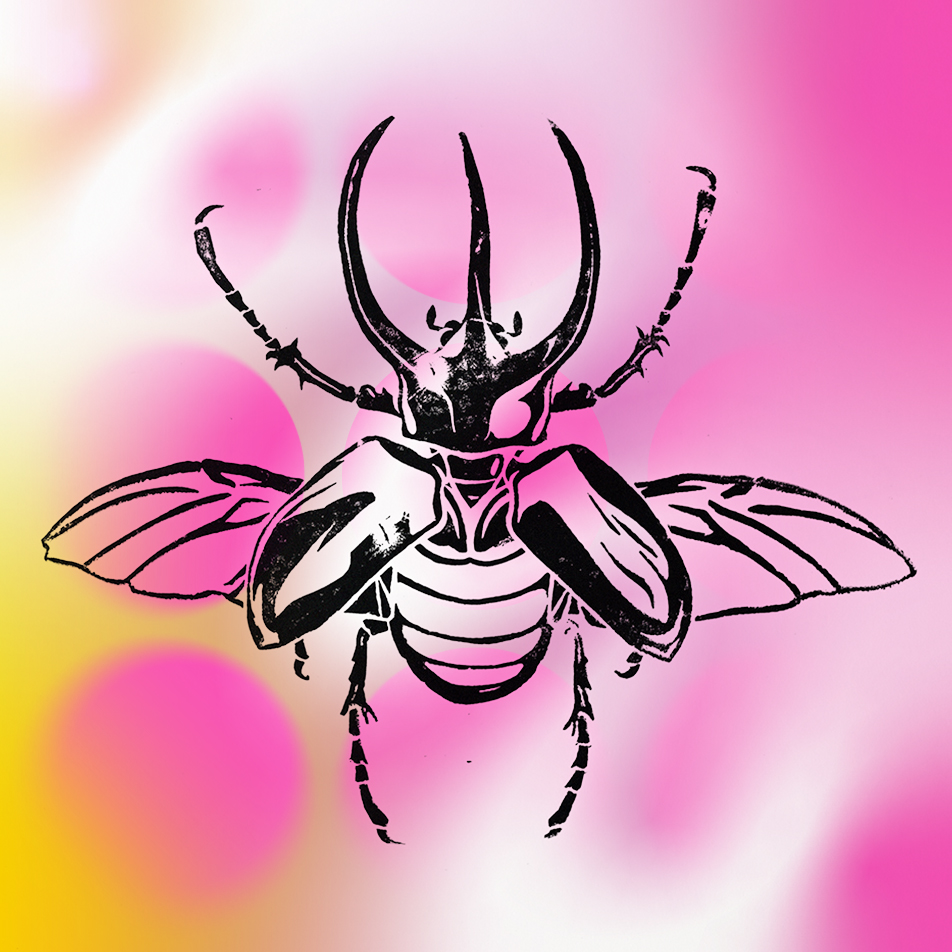 Rhino beetle linocut design placed over a hypercolour background